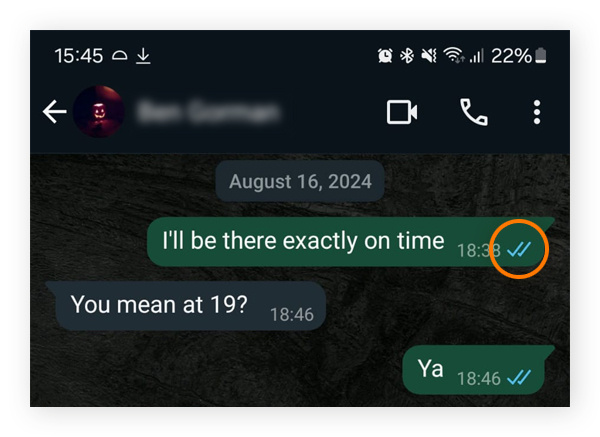 WhatsApp讯息送达和已读示例